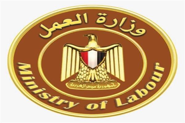 وزارة العمل توفر 45 فرصة عمل جديدة للشباب