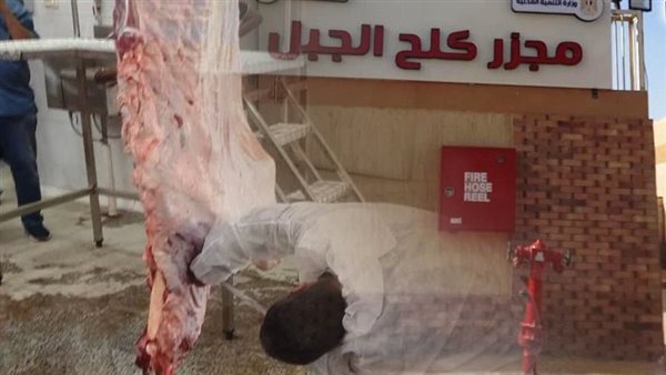 التشغيل التجريبي لمجزر كلح الجبل بإدفو بتكلفة 21 مليون جنيه