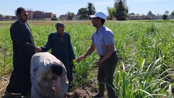 الزراعة تدعم المزارعين وتوزع الأسمدة خلال إجازة العيد