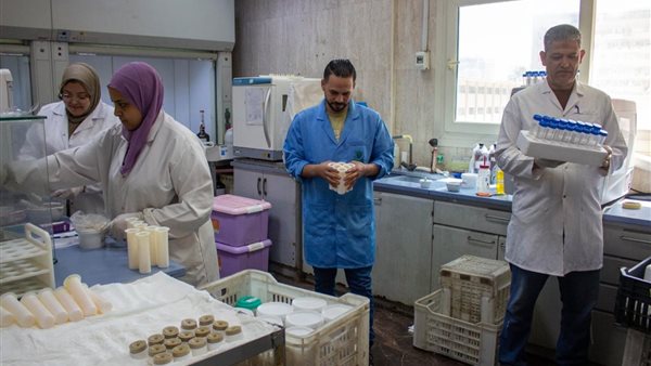 تحليل 2500 عينة لمتبقيات المبيدات خلال عيد الأضحى