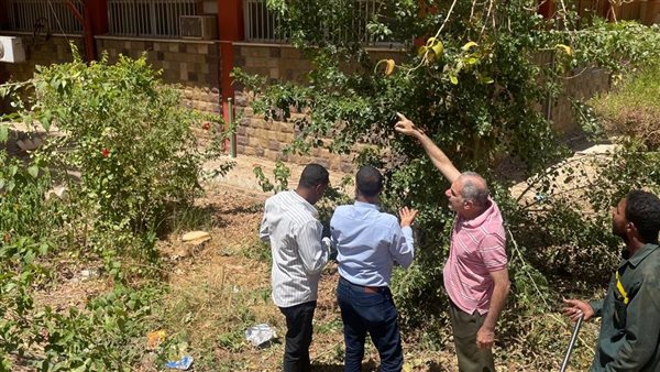 جامعة أسوان تستأنف امتحانات الفصل الدراسي الثاني بعد عيد الأضحى