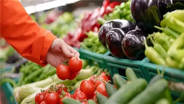 سعر الطماطم اليوم في مصر واستقرار الأسواق بعد العيد