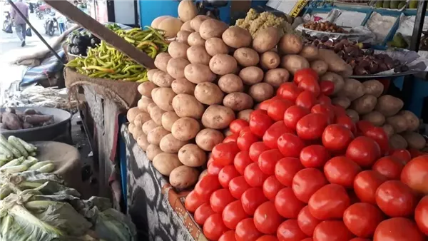 طرح كميات كبيرة من الطماطم في المجمعات بسعر 20 جنيها
