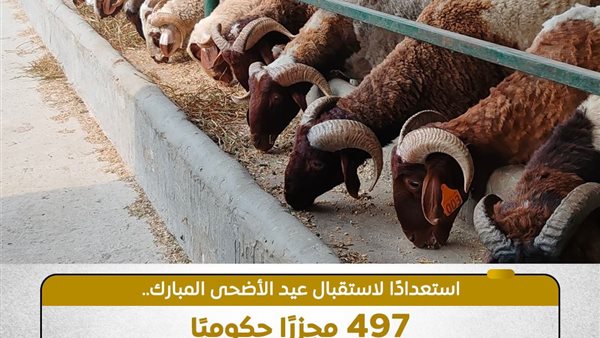 فتح 497 مجزراً حكومياً بالمجان خلال العيد