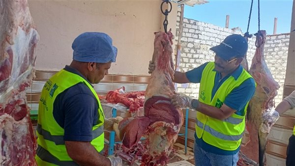 قنا تختتم حملة الأضاحي بالتعاون مع مصر الخير بـ127 رأس ماشية
