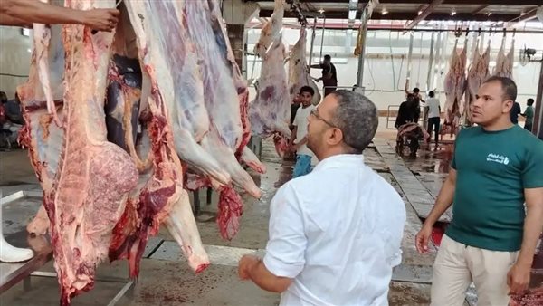 محافظ أسوان يتابع ذبح الأضاحي بالمجان عبر الطب البيطري