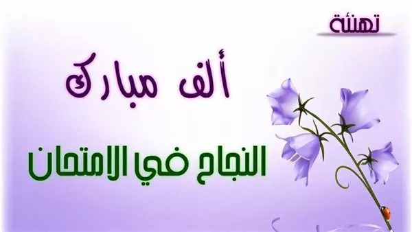 نتيجة الصف الرابع الابتدائي 2026 في الجيزة وكيفية الاستعلام برقم الجلوس