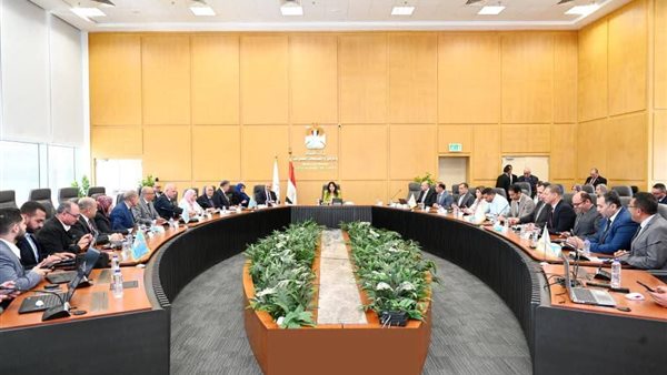 10 آلاف مشروع لتحسين خدمات الريف المصري ضمن حياة كريمة