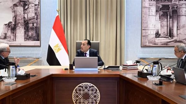 رئيس الوزراء يناقش مستقبل 59 هيئة اقتصادية مع نائبه
