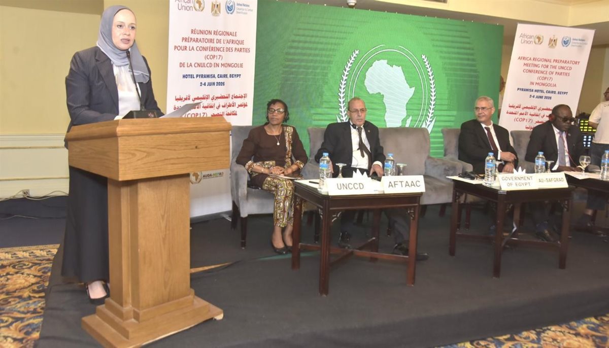جانب من فعاليات الاجتماع التحضيري للمجموعة الإفريقية