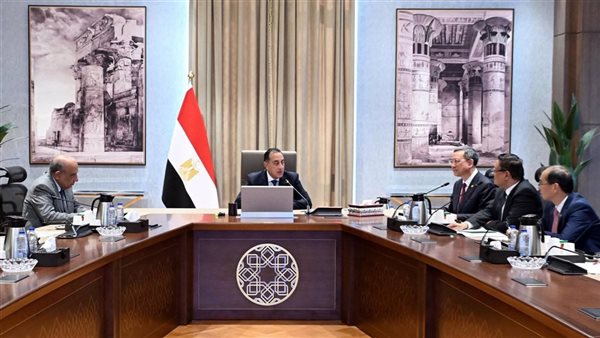 مدبولي يبحث سبل التعاون مع رئيس شركة صينية للطاقة