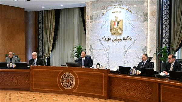 رئيس الوزراء: توريد 4.6 مليون طن قمح من المزارعين