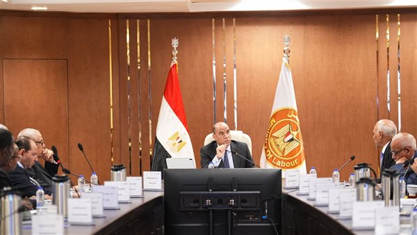 وزير العمل: 2.557 مليار جنيه دعمًا لـ441 ألف عامل عبر صندوق الطوارئ