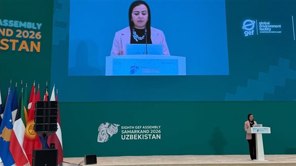 الدعم اللازم للدول النامية لمواجهة التحديات البيئية