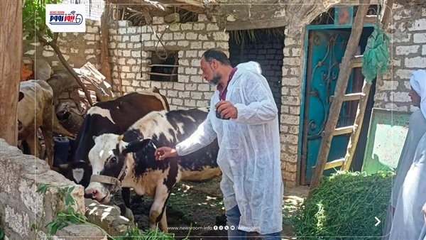 الطب البيطري بالشرقية يفحص 5342 رأس ماشية في مايو