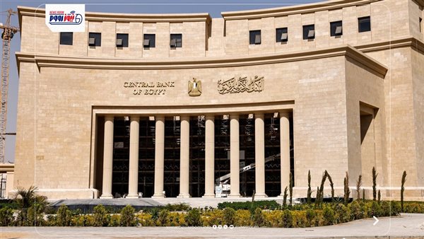 المركزي المصري يطرح أذون خزانة دولارية بقيمة 461.5 مليون دولار