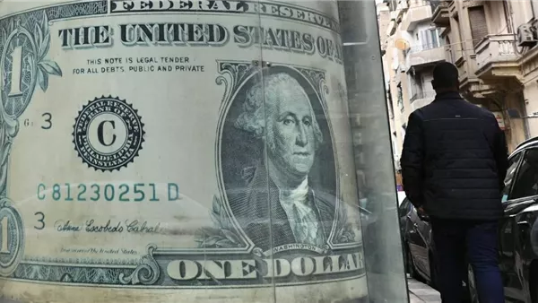 تحويلات المصريين بالخارج تعزز استقرار سوق الصرف