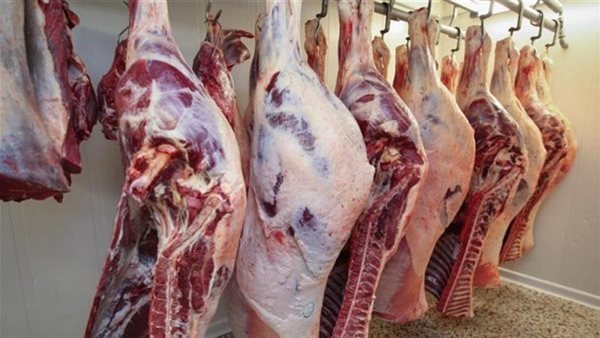 تراجع أسعار الماشية 40 جنيهًا للكيلو دون تأثير على اللحوم