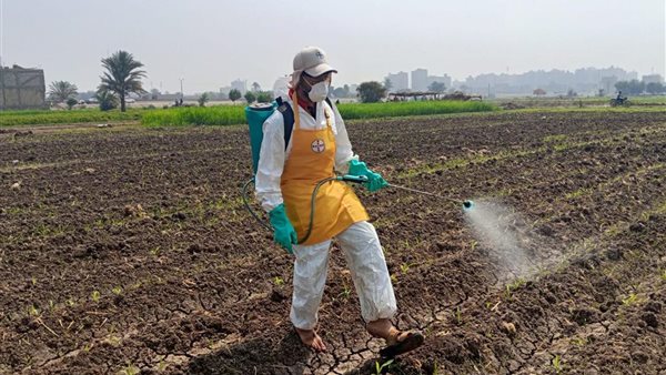 توفير مبيدات حيوية للحد من انتشار الآفات الحشرية