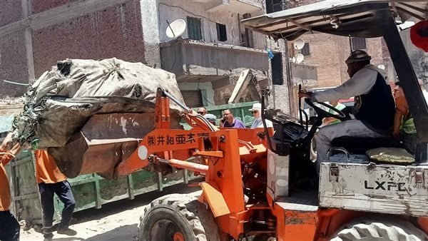 حملات مكبرة للقضاء على بؤر الفريزة والنباشين بأحياء الإسكندرية