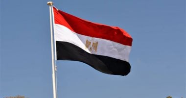 خبير دستوري: الدستور يضمن حق الترشح للرئاسة لكل مواطن مستوفٍ للشروط
