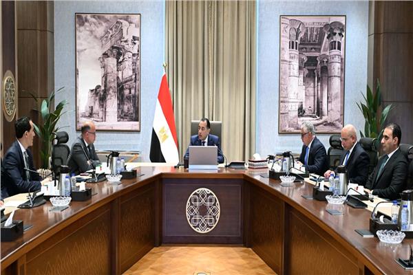 رئيس الوزراء يناقش إنشاء مركز توزيع لوجيستي عالمي في “اقتصادية قناة السويس”