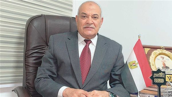 شعبة الدواجن توضح خسائر المنتجين وتراجع الأسعار
