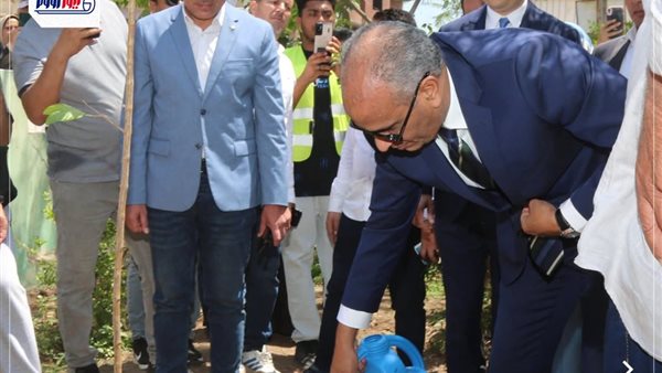 مبادرة جديدة في كفر الشيخ لزيادة المسطحات الخضراء بالقرى
