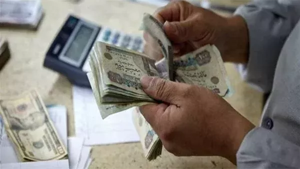 مدخرات الأفراد بالعملة الأجنبية تصل إلى 1.9 تريليون جنيه بنهاية إبريل 2026