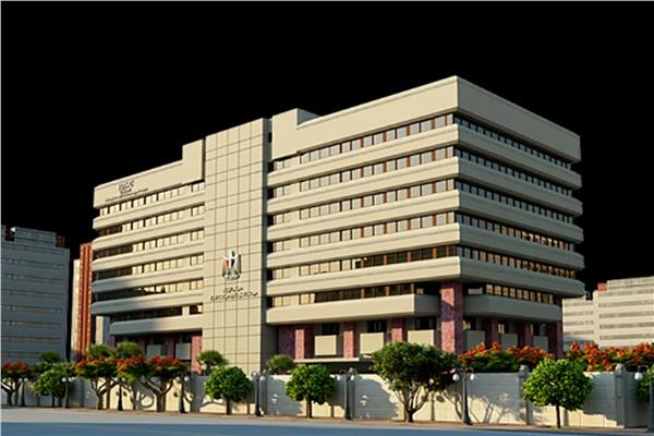معلومات الوزراء: جاهزية الشبكات في مصر ودورها في التحول الرقمي