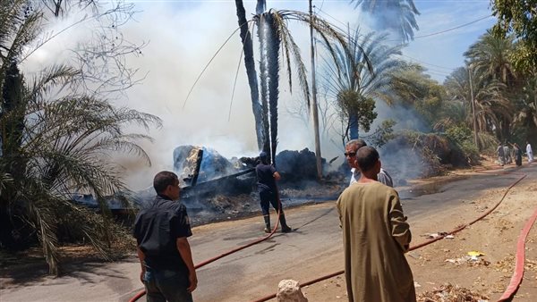 نفوق 6 رؤوس ماشية نتيجة حريق في قوص بقنا