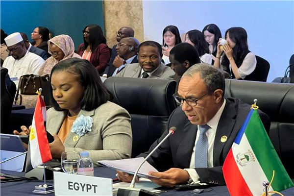 وزير الخارجية: الأمن المائي قضية وجودية لمصر في الاجتماع الكوري الأفريقي