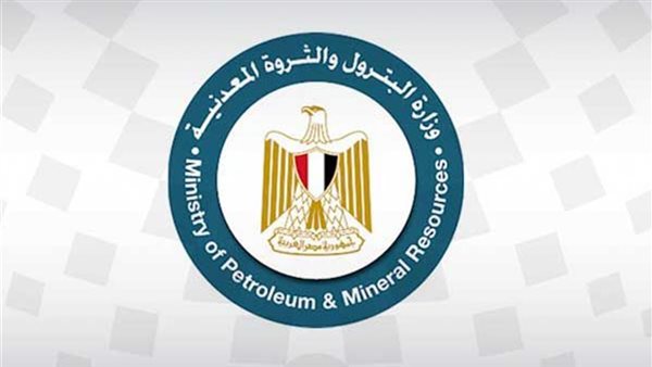 وصول شحنات وقود لمحطات الكهرباء بـ155 مليار جنيه
