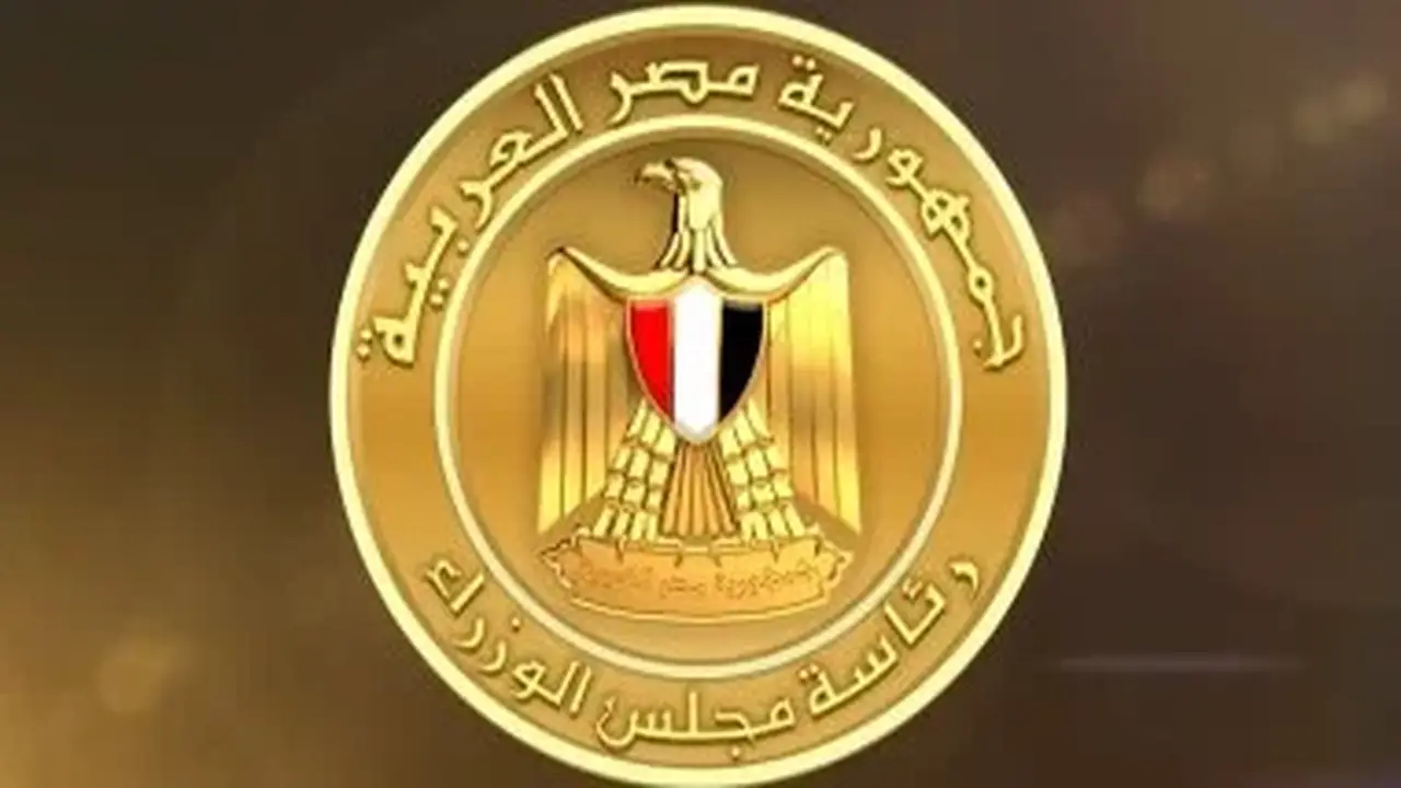 مجلس الوزراء: حادث سفينتي دمياط ناتج عن طائرة مسيرة