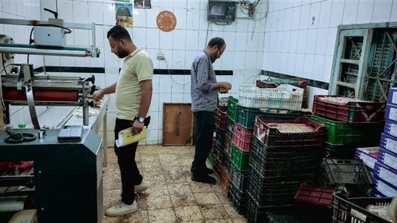 انطلاق حملات مكثفة على مصانع حلوى المولد بأسيوط وسحب عينات من المنتجات