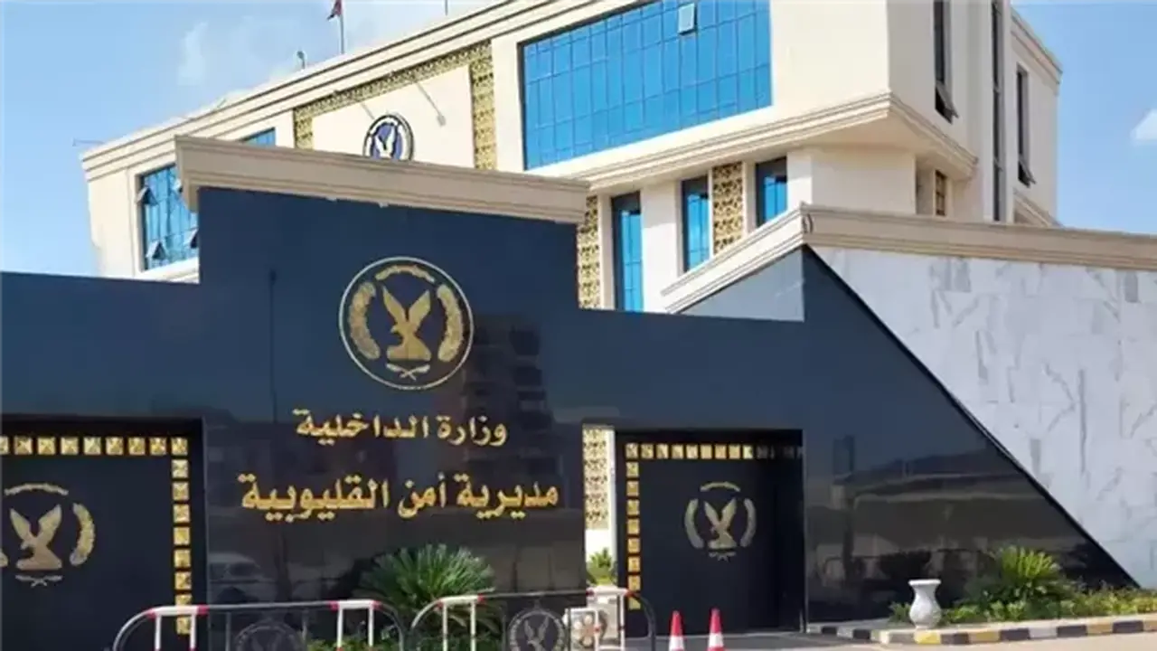 ضبط المتهمين بسرقة طبيب بيطري بالإكراه والاستيلاء على 300 ألف جنيه في القليوبية