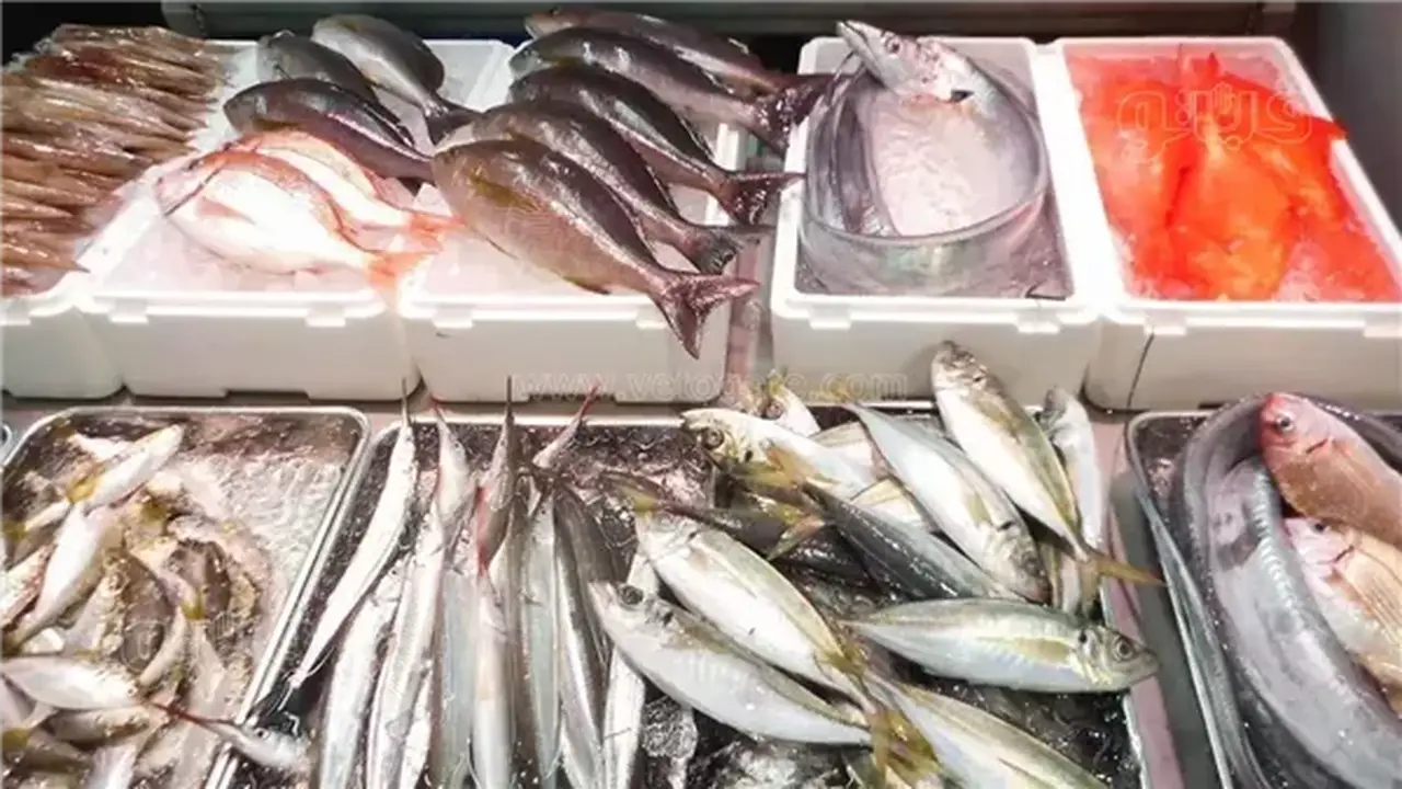 أسعار السمك اليوم: انخفاض في البلطي وارتفاع في المكرونة والكابوريا بمقدار 10 جنيهات