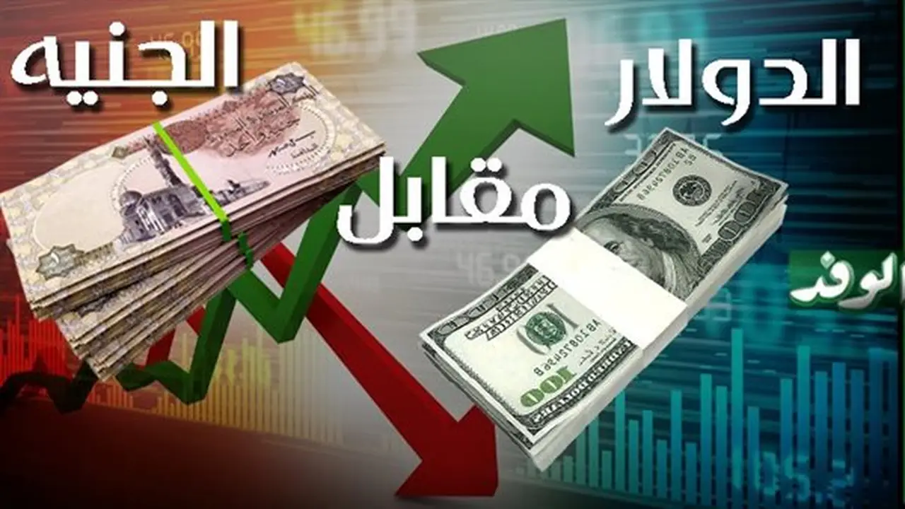 أسعار الدولار اليوم الأربعاء 12 أغسطس 2026 في البنوك المصرية