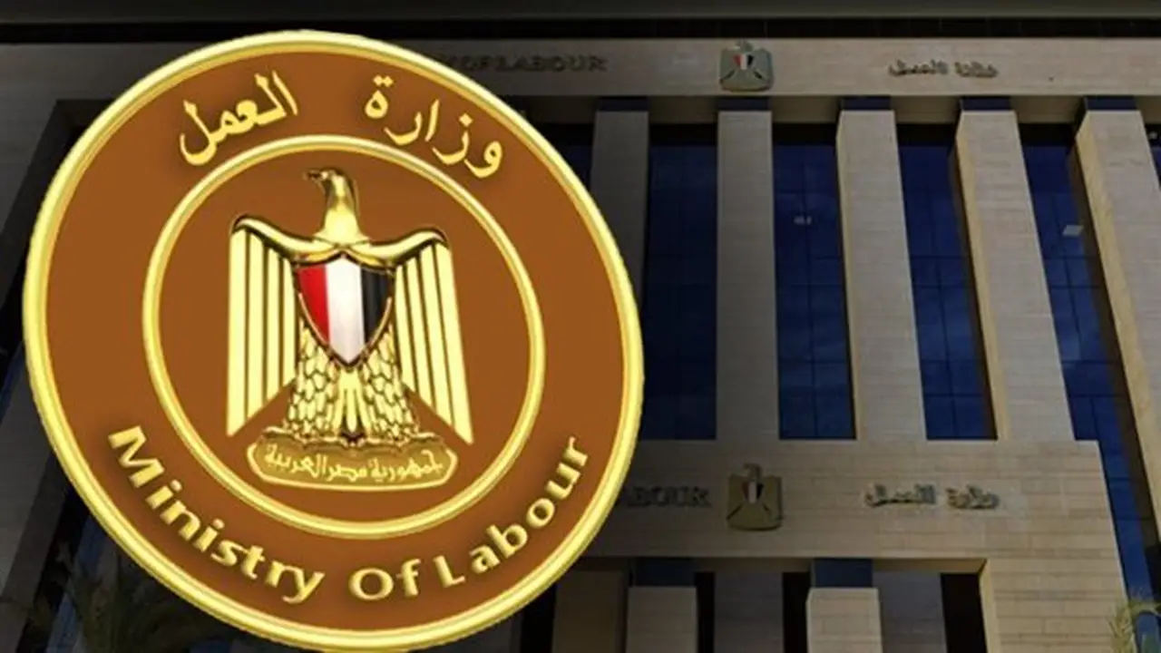 وزارة العمل تعلن عن فرص عمل جديدة برواتب تصل إلى 16 ألف جنيه للمهندسين والفنيين والمحاسبين