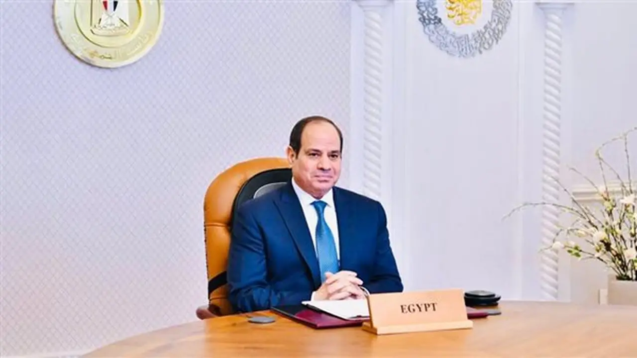 السيسي يؤكد على أهمية تعزيز التصنيع المحلي في الرمال السوداء والأسمدة والعناصر الأرضية النادرة
