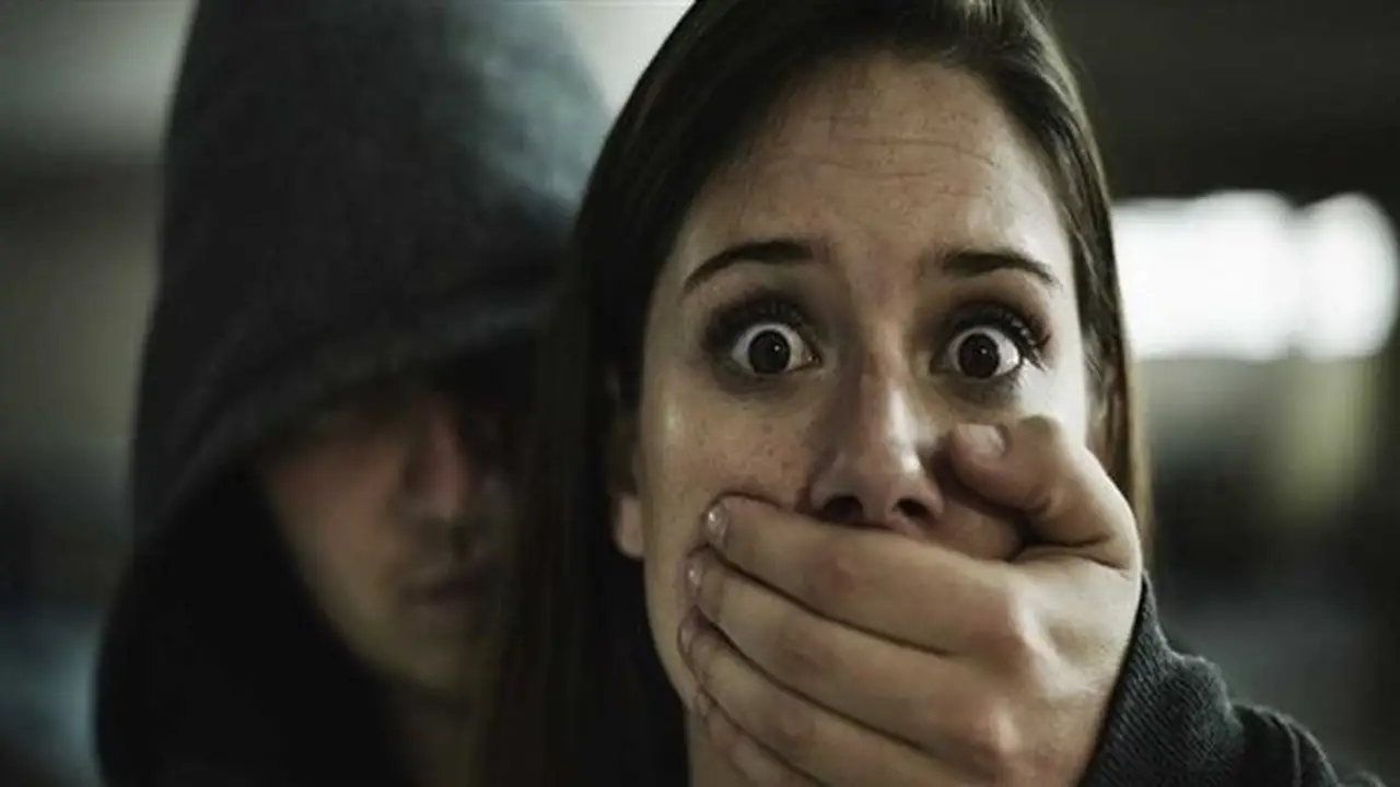 الداخلية توضح ملابسات اختطاف سيدة البحيرة وتضبط ابنتها