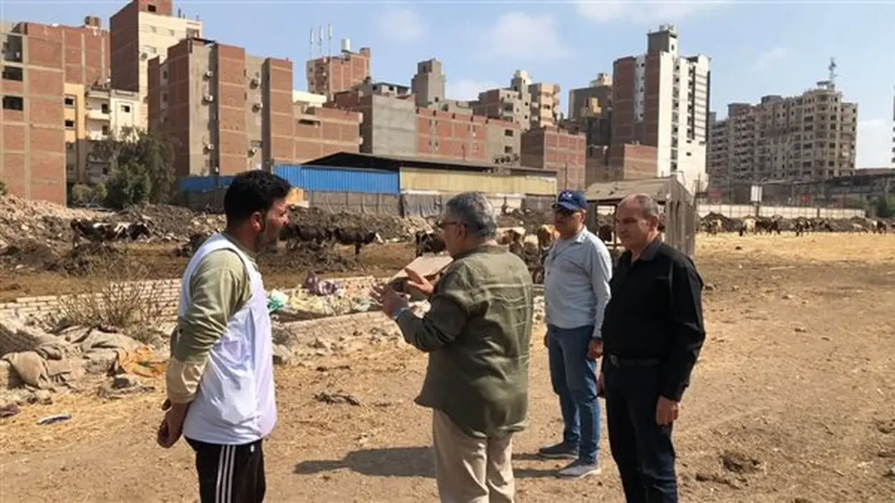محافظ الدقهلية يتخذ إجراءات عاجلة بعد رصد ماشية في مدخل المنصورة