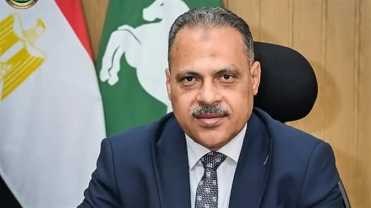 شبكات المرافق بالشرقية تصدر 2313 شهادة استبيان تراخيص للمباني