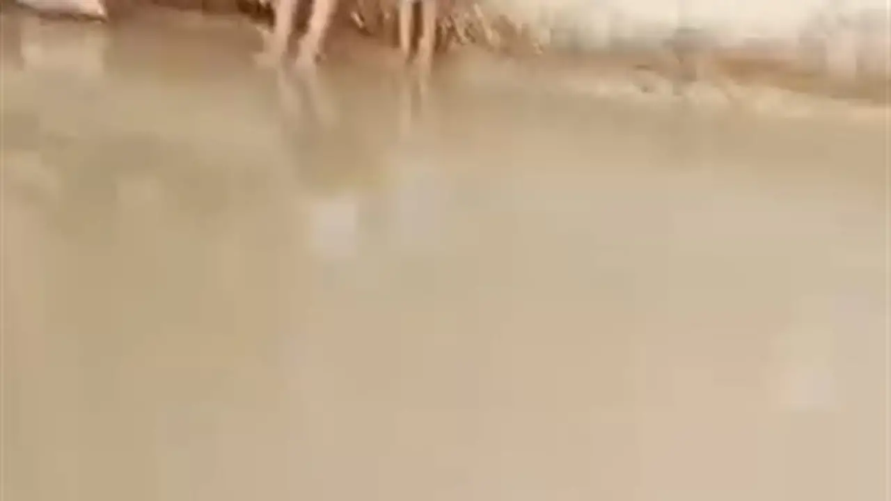 أهالي قرية الرحمانية قبلي بقنا يعانون من غرق الشوارع بسبب كسر ماسورة مياه (صور)