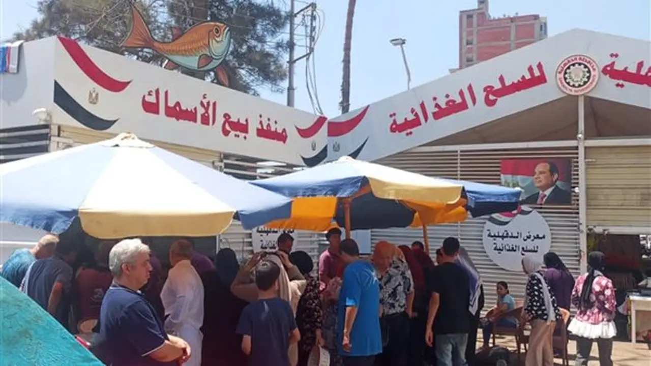 محافظ الدقهلية يتابع يوميًا معارض السلع الغذائية لضبط الأسعار (صور)