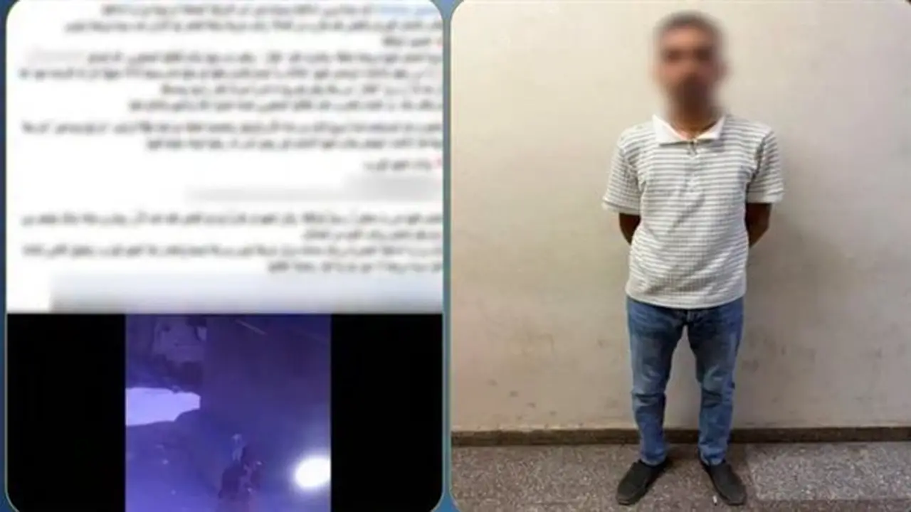عامل يعتدي على سيدة مسنّة بعصا في بلبيس بسبب خلاف مالي