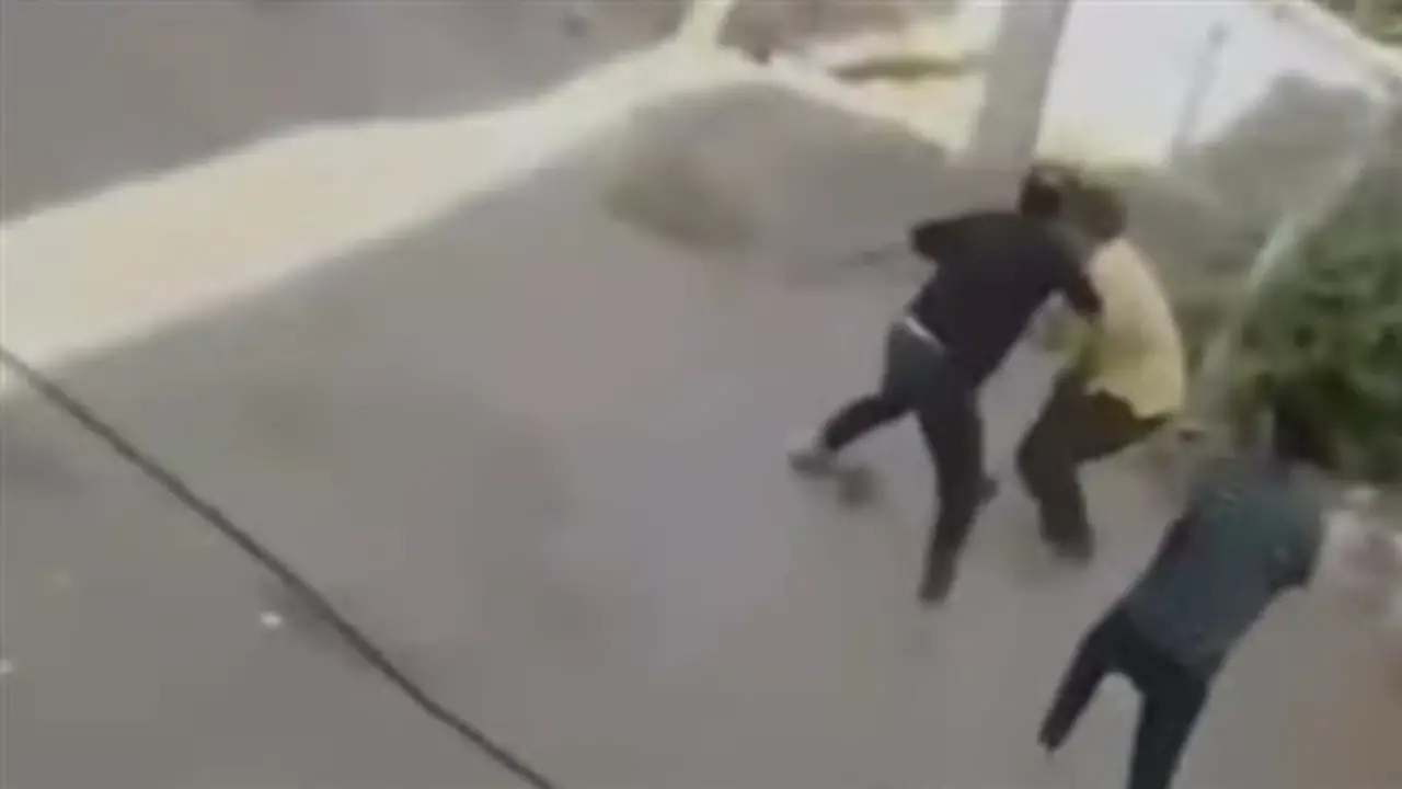 لحظة مقتل شقيق على يد أخيه في الشارع بالمنوفية وفرار المتهم