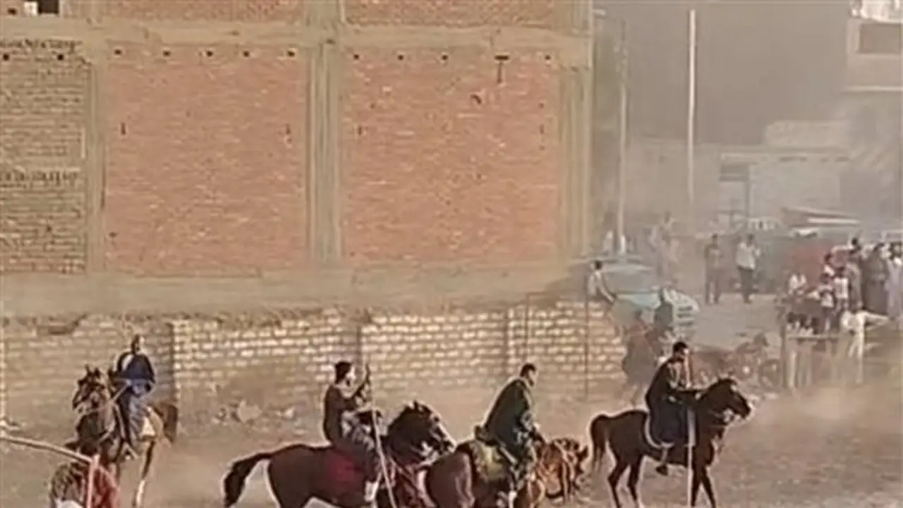 أهالي دشنا يحتفلون بذكرى المولد النبوي الشريف في احتفال المرماح (فيديو)