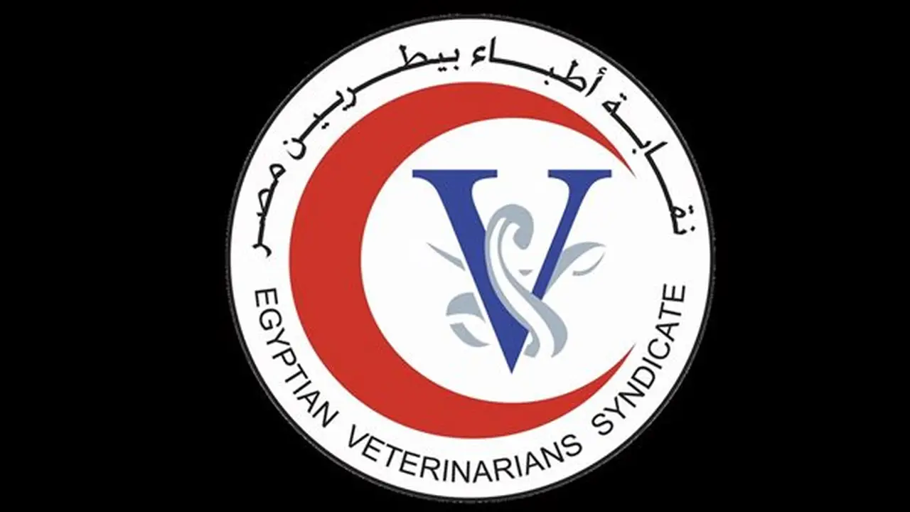 توقيع بروتوكول تعاون بين جامعة قنا ونقابة الأطباء البيطريين لتعزيز المهارات المهنية