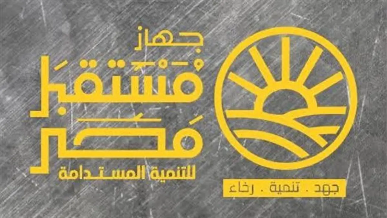 ضوابط ضم الشركات والكيانات لجهاز مستقبل مصر: كل ما تحتاج معرفته